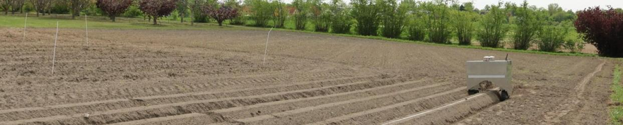 robot feld