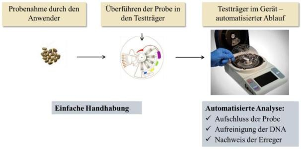 Schematische Darstellung des Ablaufs von Probenahme, Extraktion und Detektion mit Laborkartusche und Steuergerät © H Hermann, Bioron GmbH