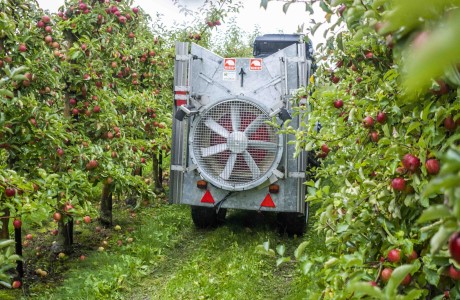 nematodenapplikation auf apfelplantage small
