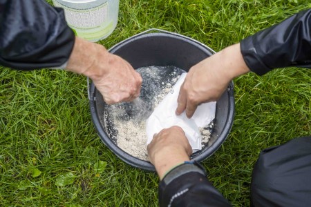 nematodensuspension wird angemischt small