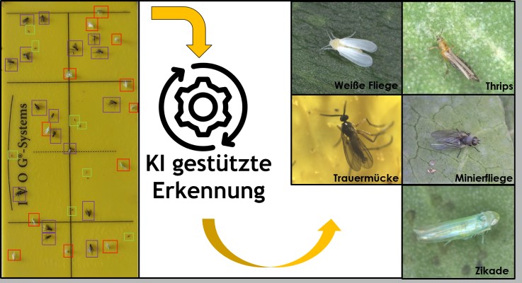 bild5 small